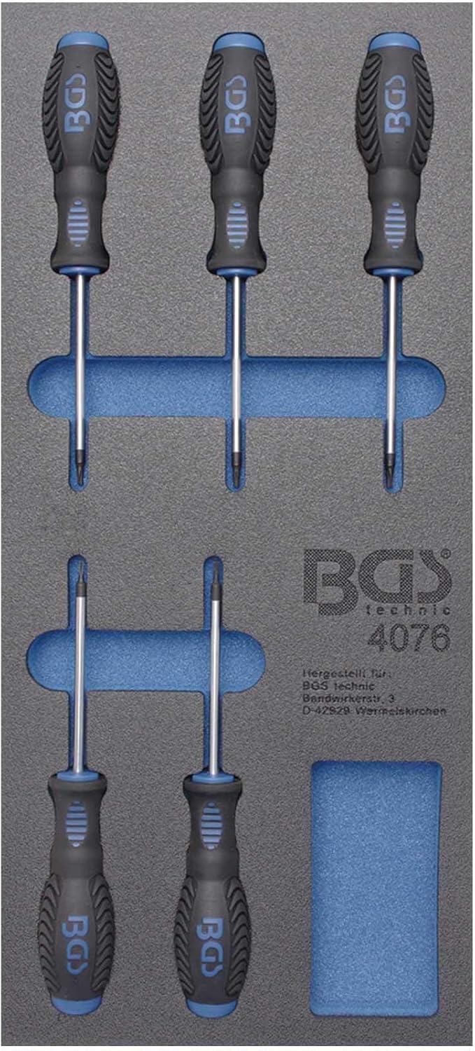 Σετ Κατσαβίδια T-Star Torx σε Θήκη Foam 5 Τεμαχίων 4076 BGS